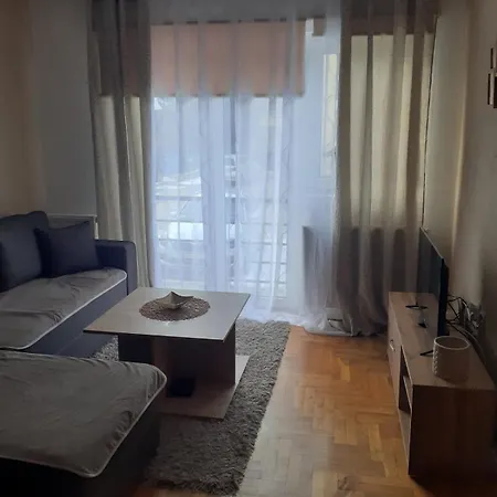 Ms * ズラティボール