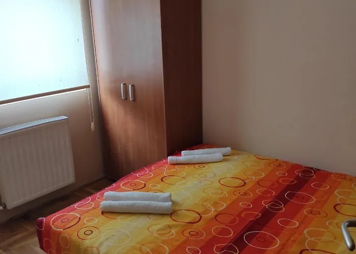 Ms * 兹拉蒂博尔